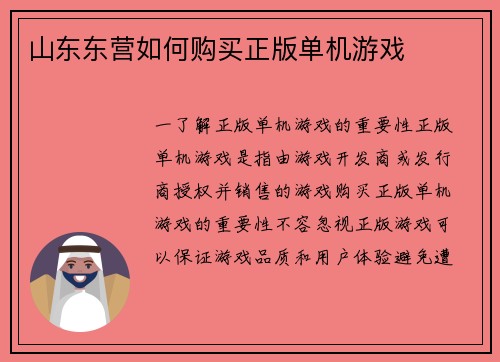 山东东营如何购买正版单机游戏
